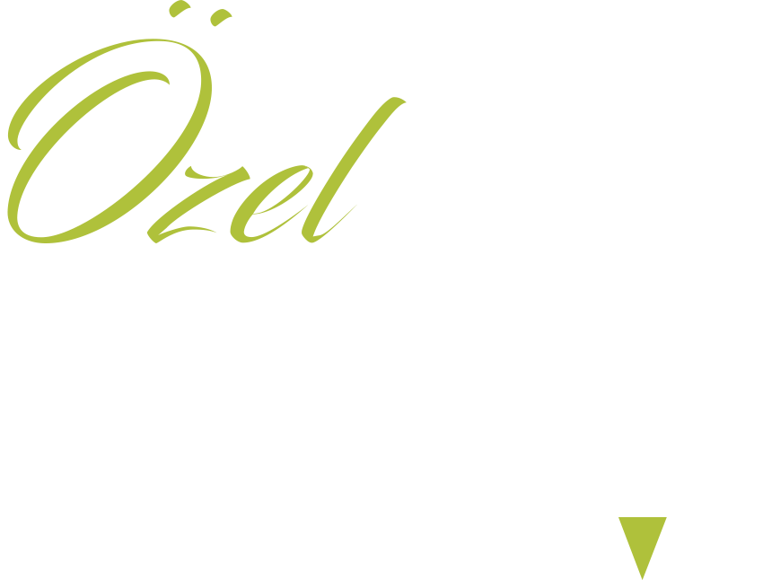 MSV Koleji Logo