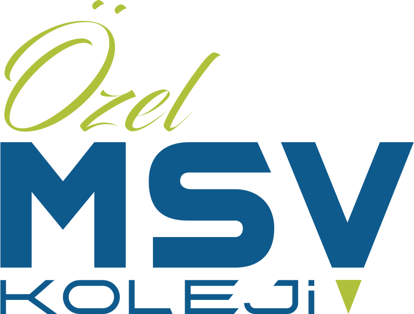 MSV MAVİ RENK